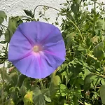 빌라 Andaluz - Spacious Natural Reserve - Sea View *